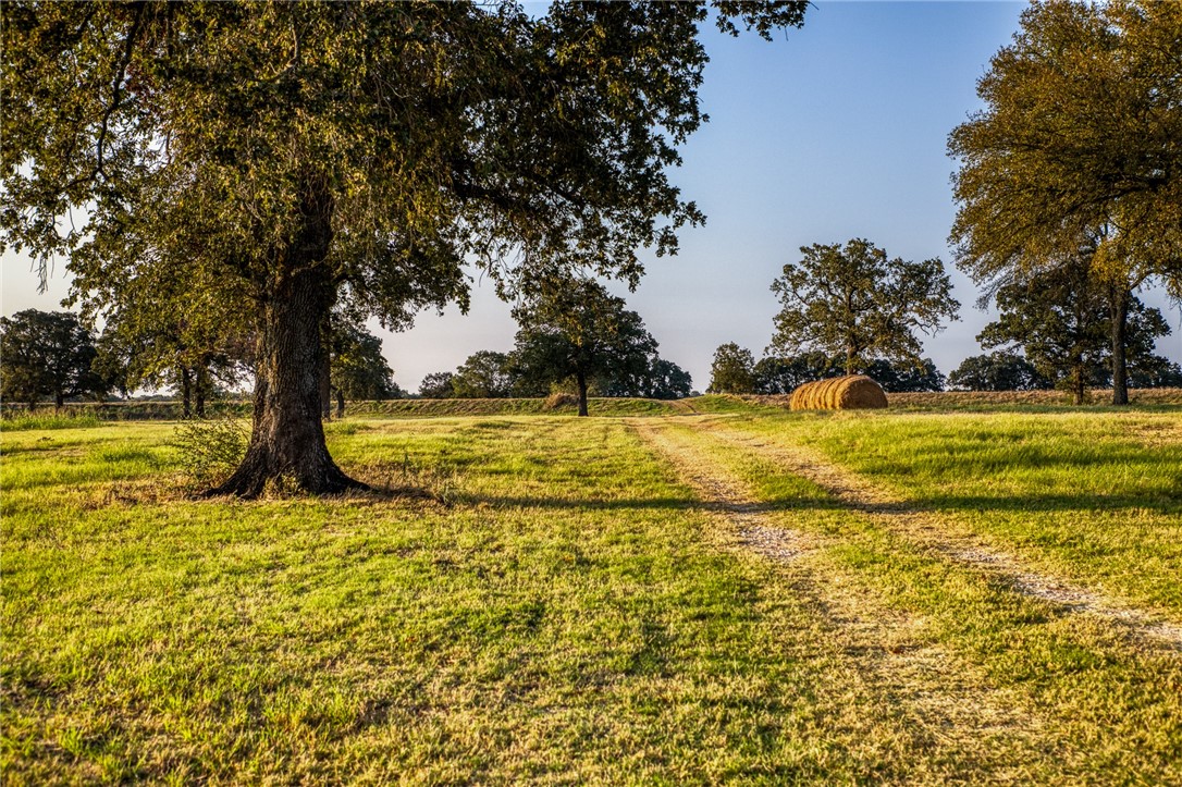 3096 Happy Swaner Lane, Axtell, Texas image 36