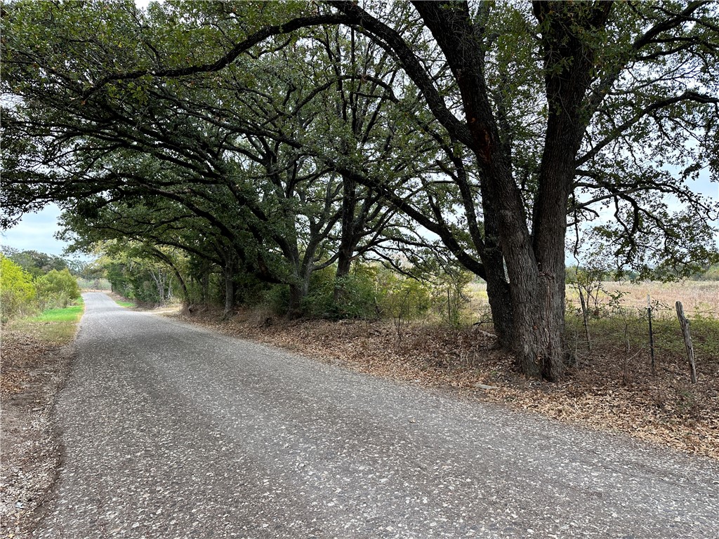 159 Cr 250 Road, Mexia, Texas image 8