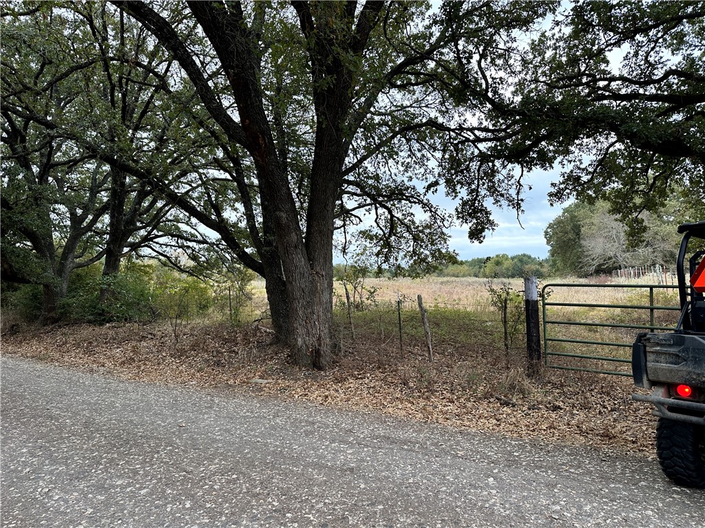 159 Cr 250 Road, Mexia, Texas image 1