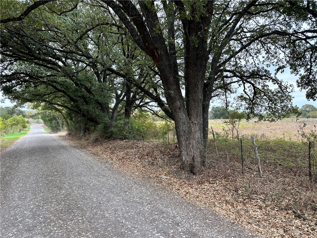 159 Cr 250 Road, Mexia, Texas image 7