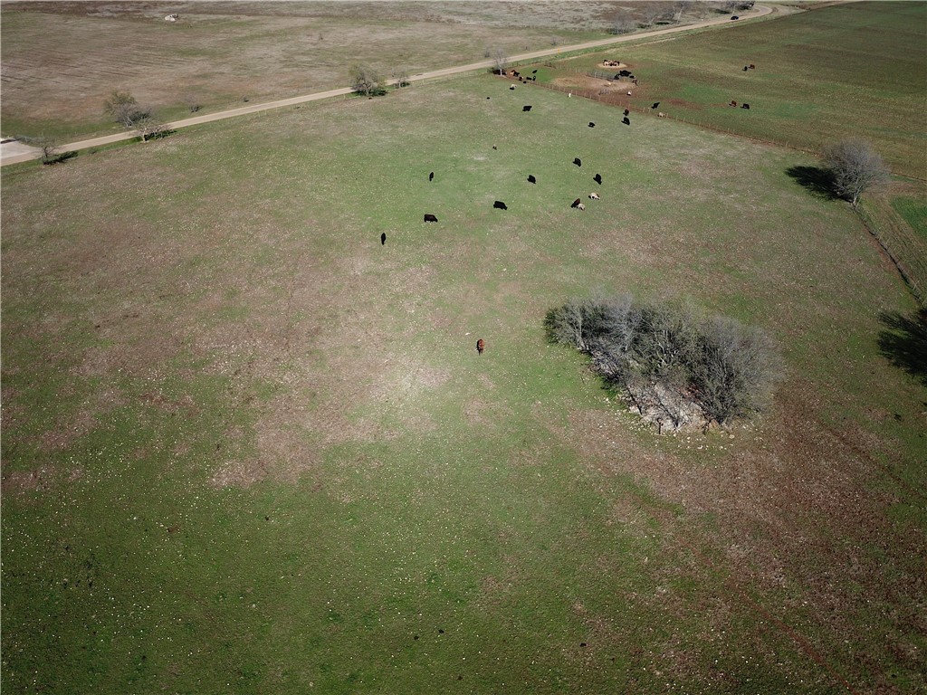 TBD Old Mcgregor-crawford Road, McGregor, Texas image 8