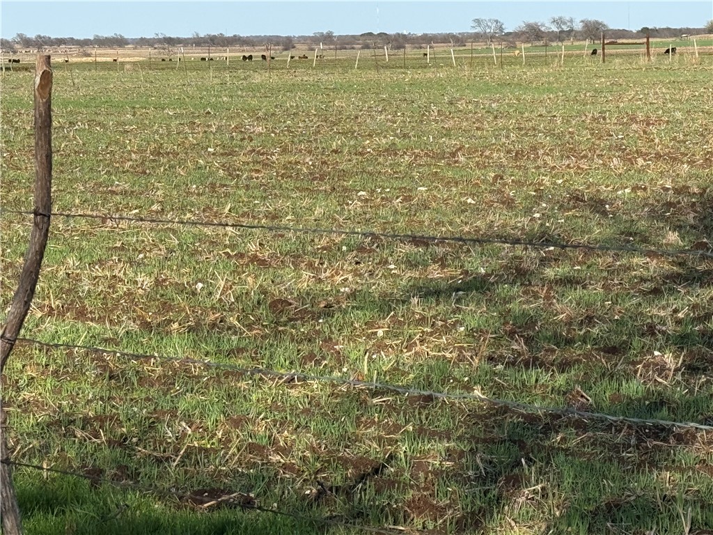 TBD Old Mcgregor-crawford Road, McGregor, Texas image 14