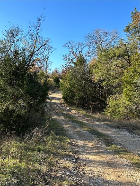 TBD County Rd 690, Teague, Texas image 5