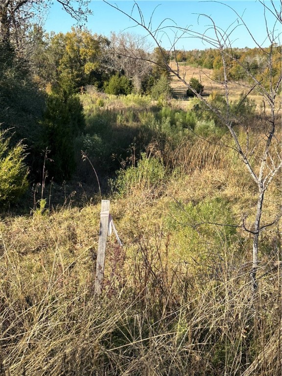 TBD County Rd 690, Teague, Texas image 8