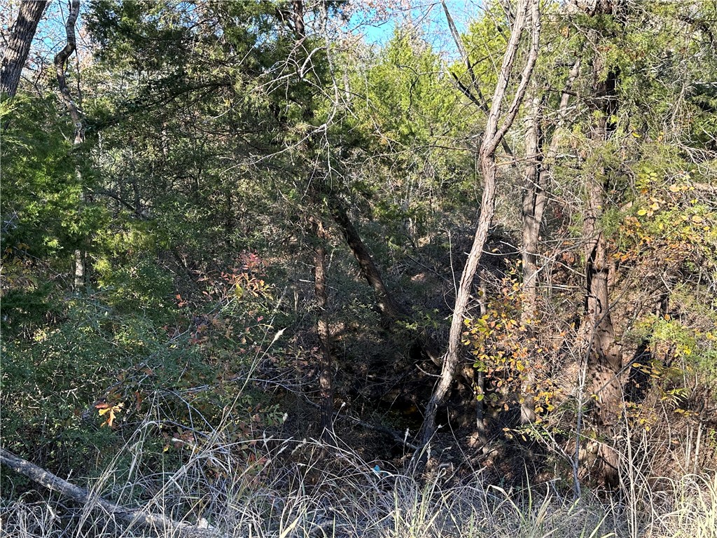 TBD County Rd 690, Teague, Texas image 6