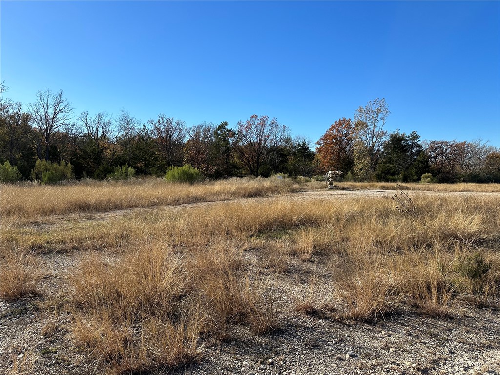 TBD County Rd 690, Teague, Texas image 3