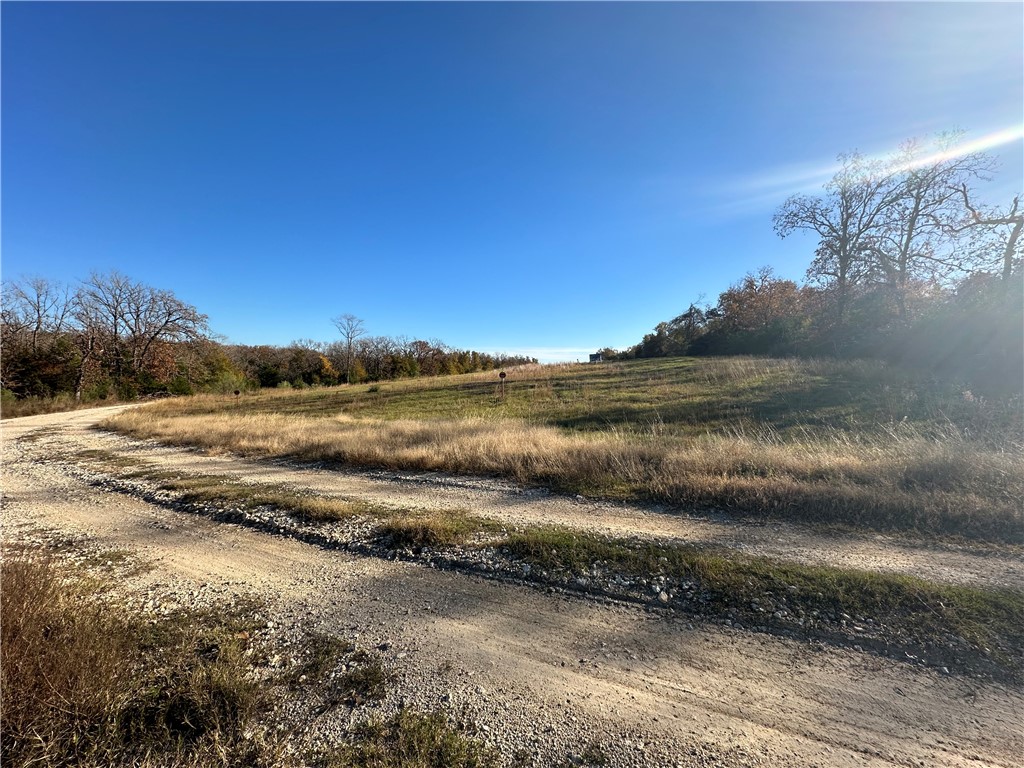 TBD County Rd 690, Teague, Texas image 9