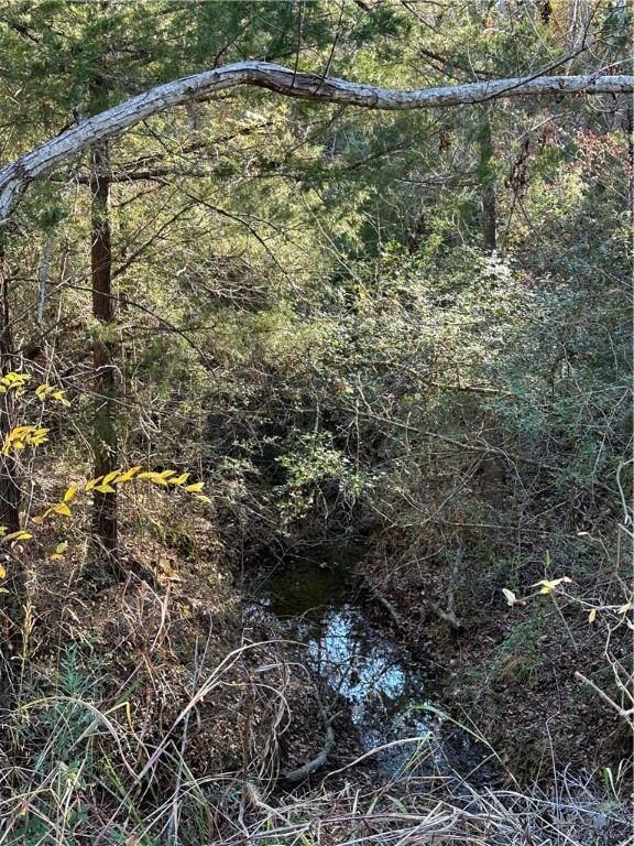 TBD County Rd 690, Teague, Texas image 7