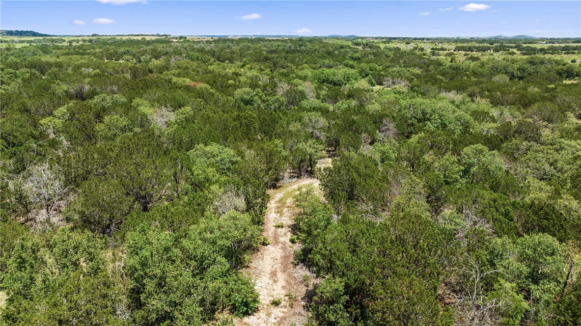 200 Blakely Road, Gatesville, Texas image 9