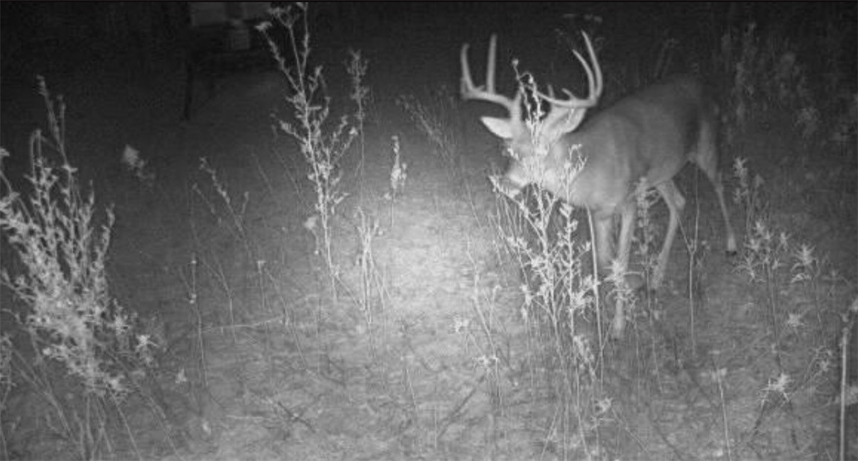 TBD Cr 379, Rising Star, Texas image 8