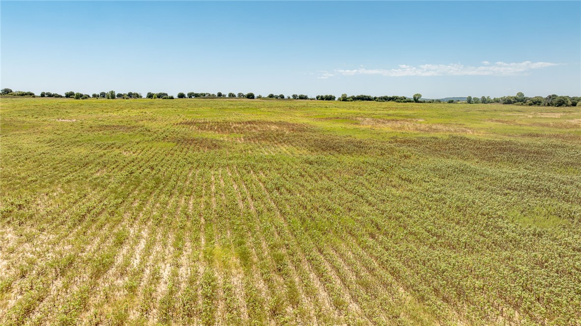 TBD Cr 379, Rising Star, Texas image 30