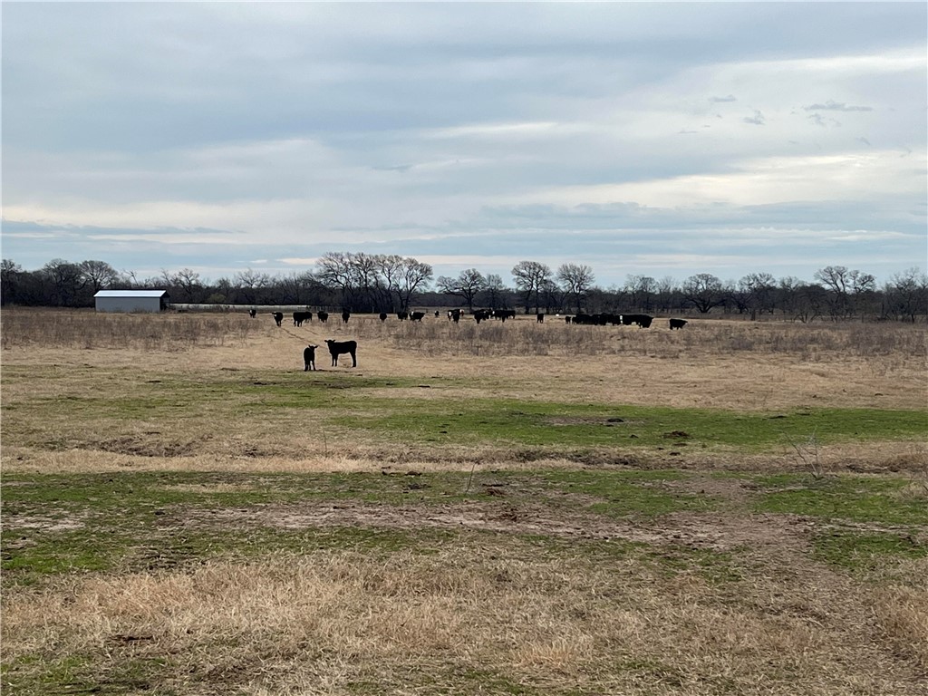 18025 SW Cr Sw 4310 Road, Dawson, Texas image 17