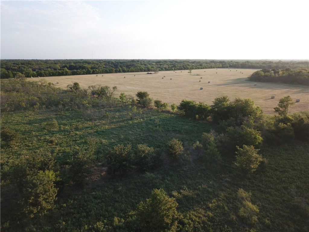 18025 SW Cr Sw 4310 Road, Dawson, Texas image 39