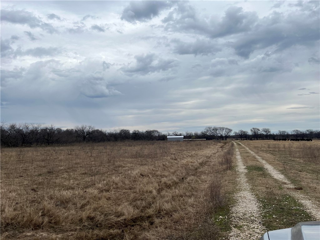 18025 SW Cr Sw 4310 Road, Dawson, Texas image 6