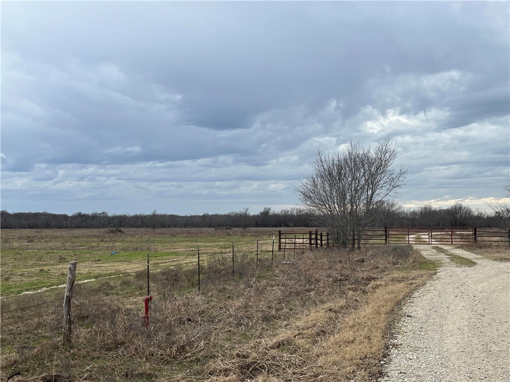 18025 SW Cr Sw 4310 Road, Dawson, Texas image 25