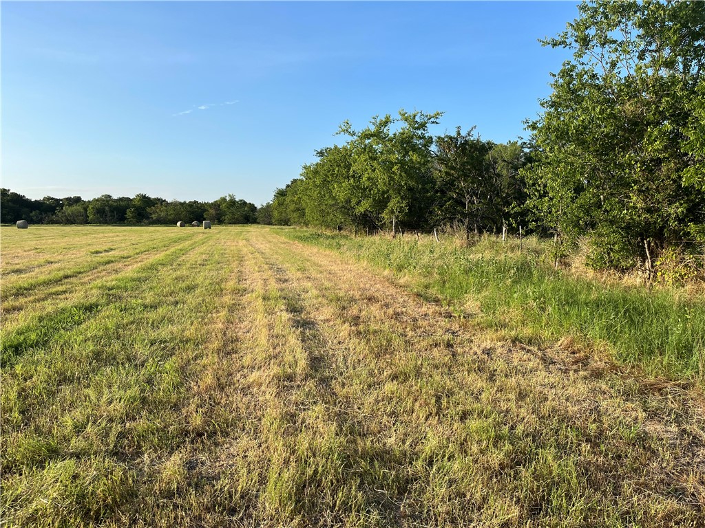 18025 SW Cr Sw 4310 Road, Dawson, Texas image 34