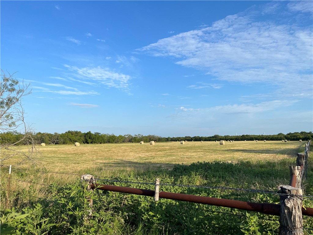 18025 SW Cr Sw 4310 Road, Dawson, Texas image 33