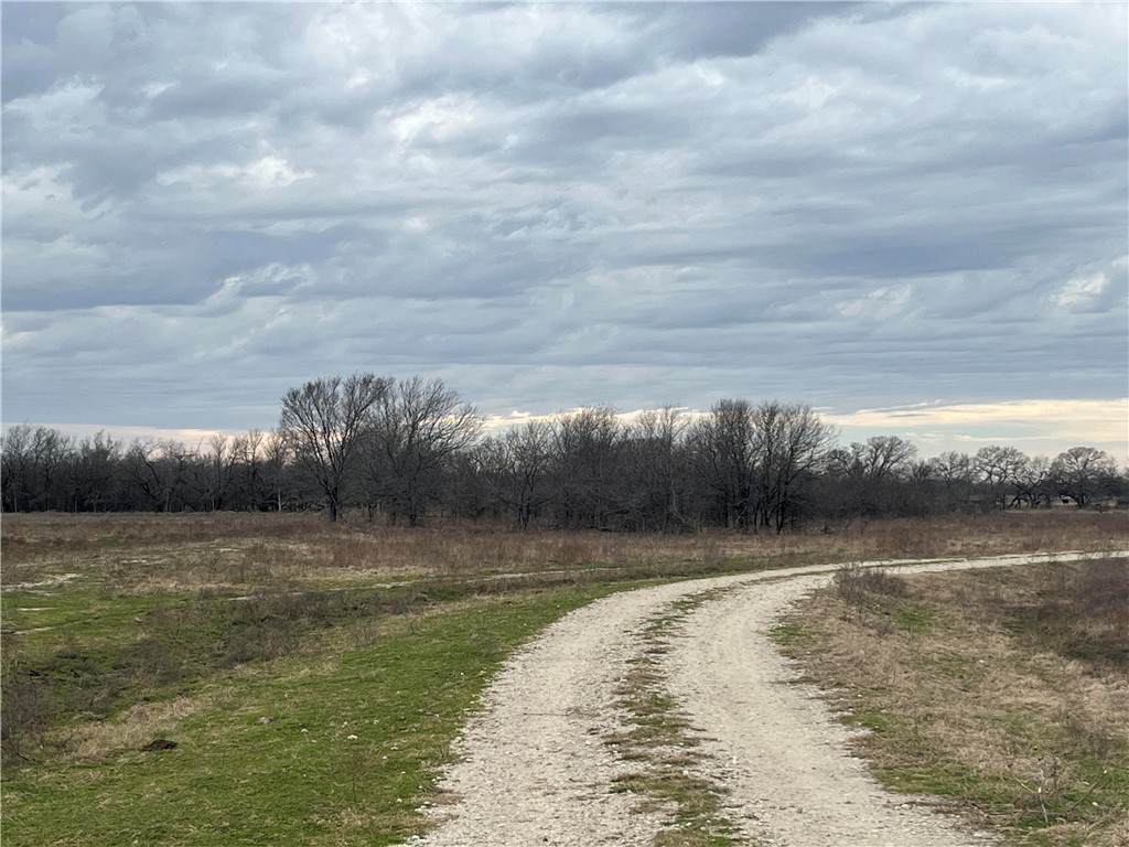 18025 SW Cr Sw 4310 Road, Dawson, Texas image 23