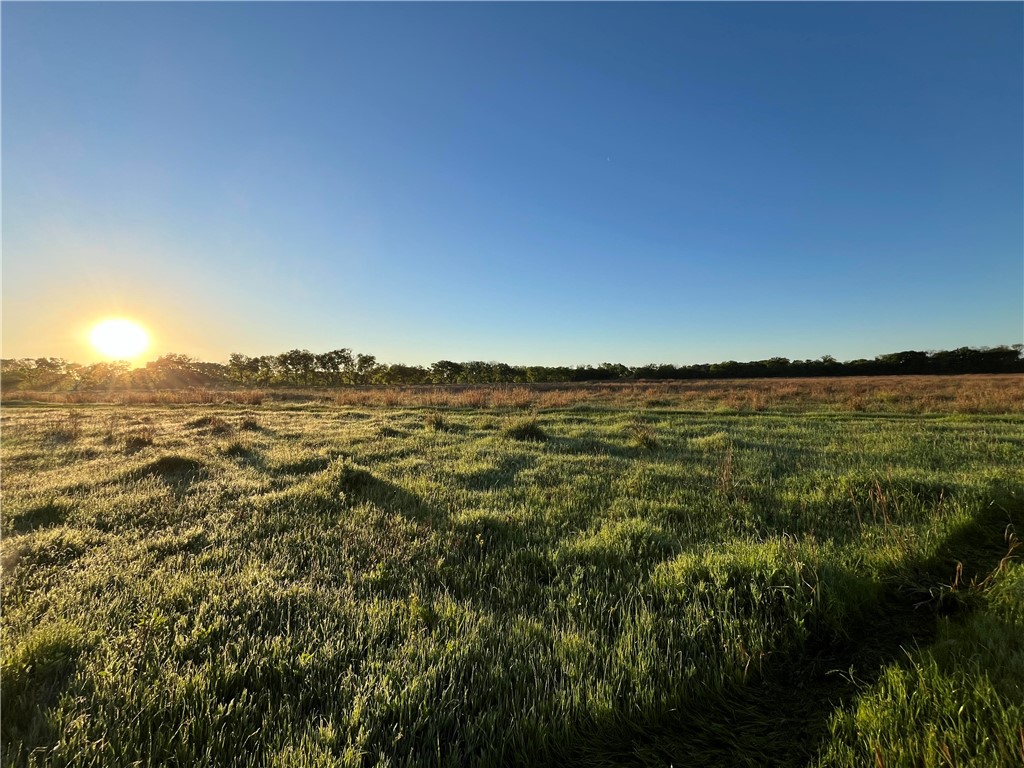 18025 SW Cr Sw 4310 Road, Dawson, Texas image 32