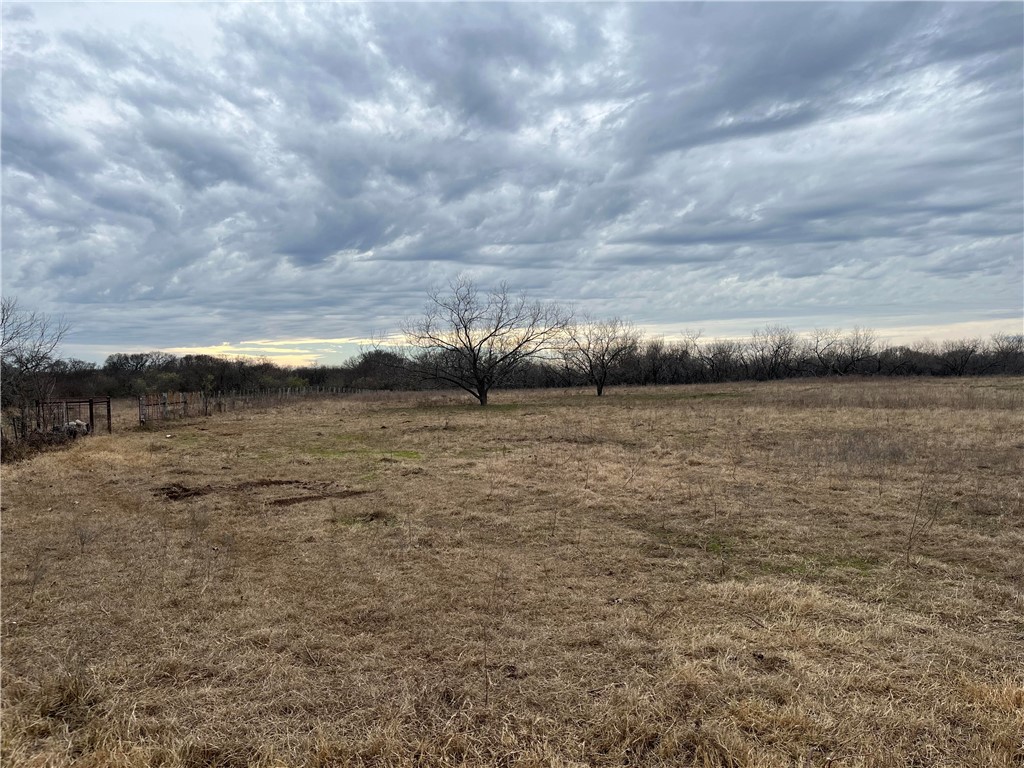 18025 SW Cr Sw 4310 Road, Dawson, Texas image 7