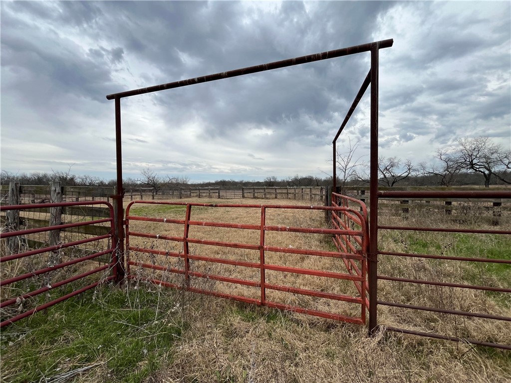 18025 SW Cr Sw 4310 Road, Dawson, Texas image 11