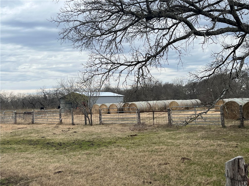 18025 SW Cr Sw 4310 Road, Dawson, Texas image 19