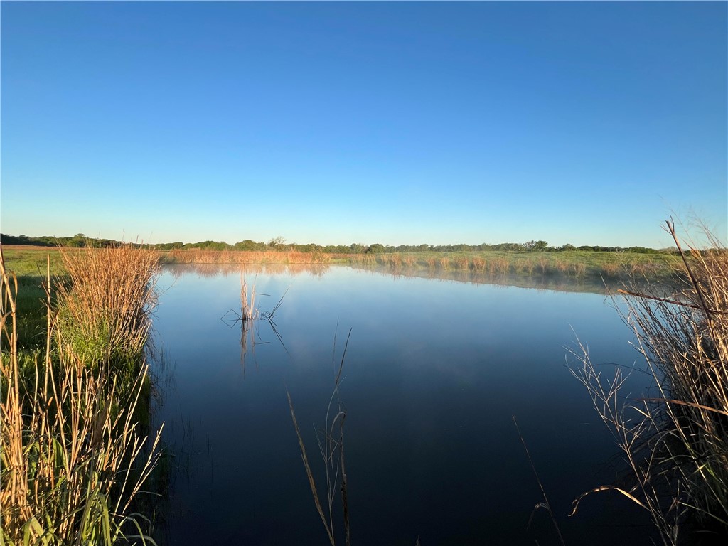 18025 SW Cr Sw 4310 Road, Dawson, Texas image 31