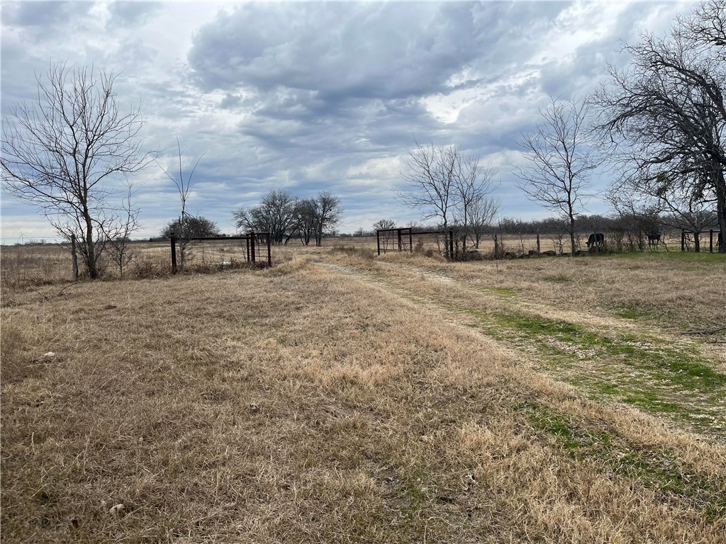 18025 SW Cr Sw 4310 Road, Dawson, Texas image 8