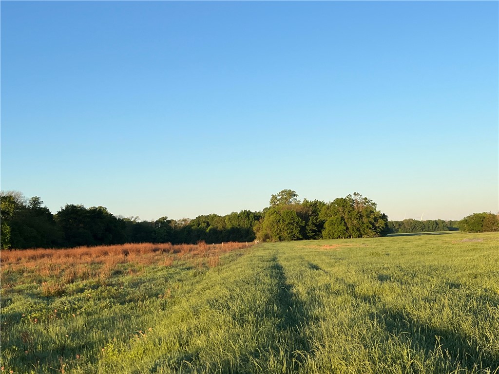 18025 SW Cr Sw 4310 Road, Dawson, Texas image 28