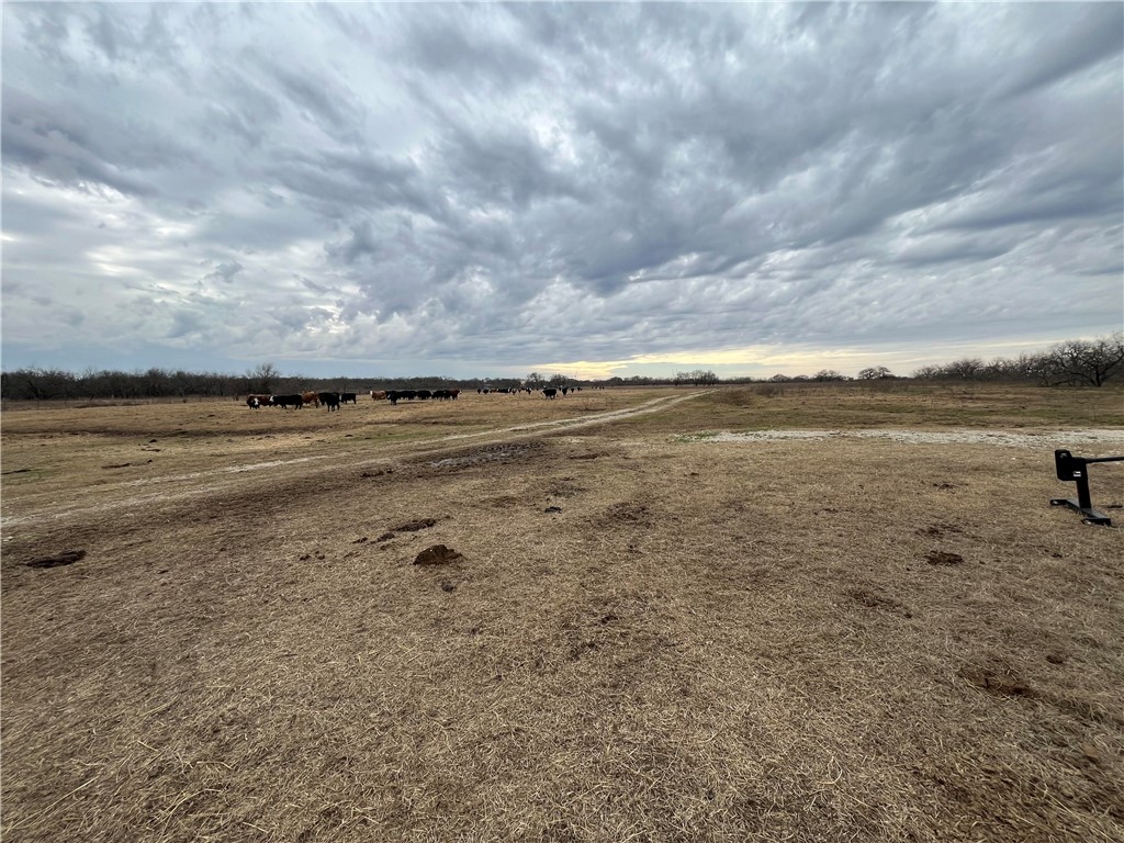 18025 SW Cr Sw 4310 Road, Dawson, Texas image 4