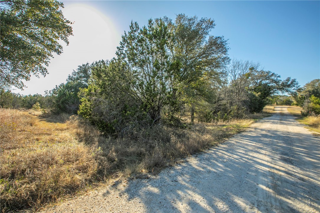 TBD Cedar Flats Road, Morgan, Texas image 6