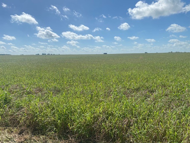 TBD Cr 403, Lott, Texas image 7