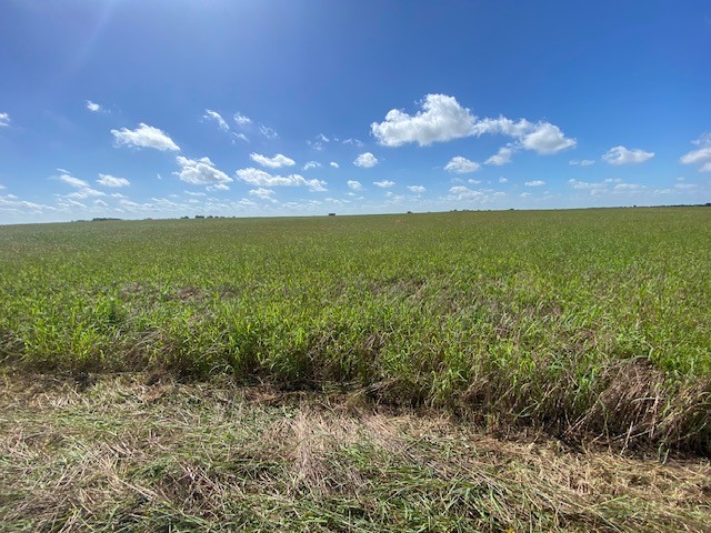 TBD Cr 403, Lott, Texas image 8