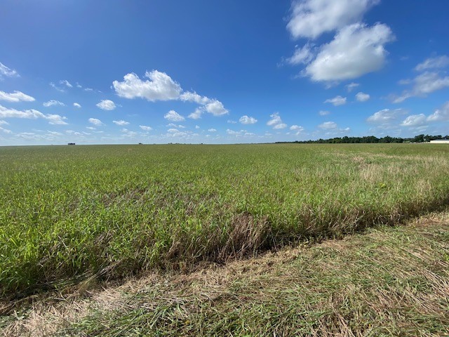 TBD Cr 403, Lott, Texas image 5