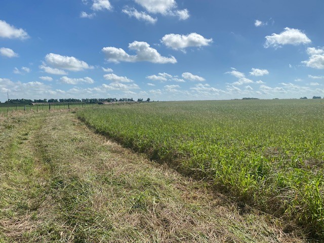 TBD Cr 403, Lott, Texas image 6