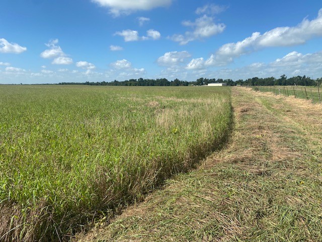 TBD Cr 403, Lott, Texas image 9