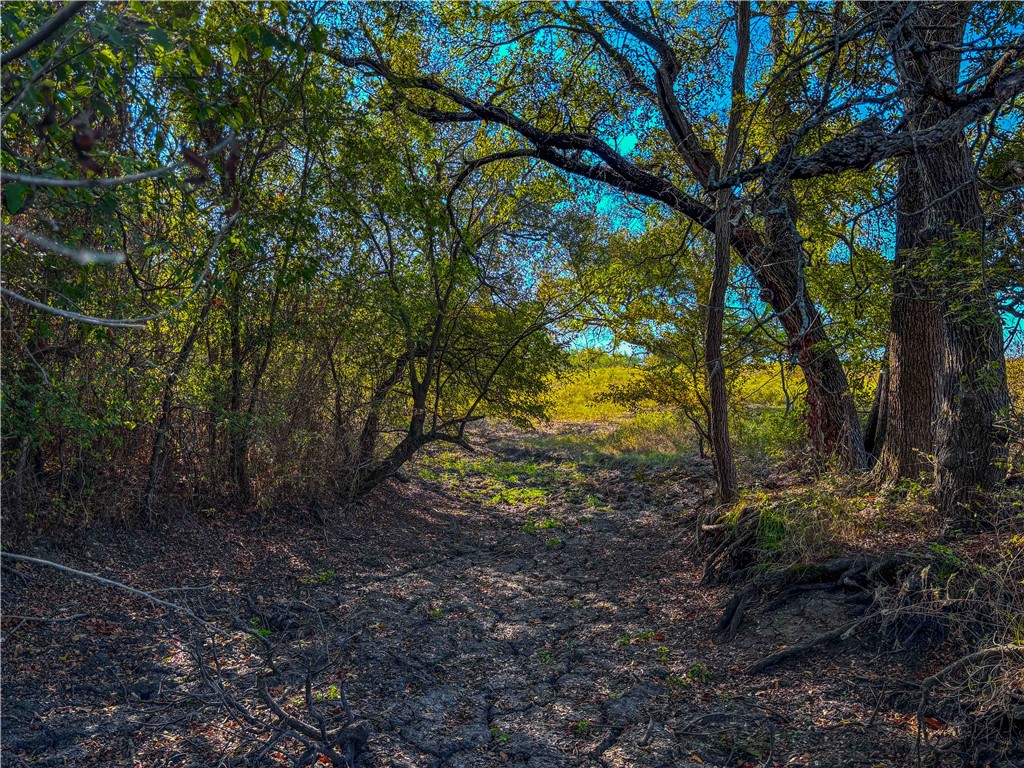 UNK Hcr 3322 Loop, Hubbard, Texas image 30