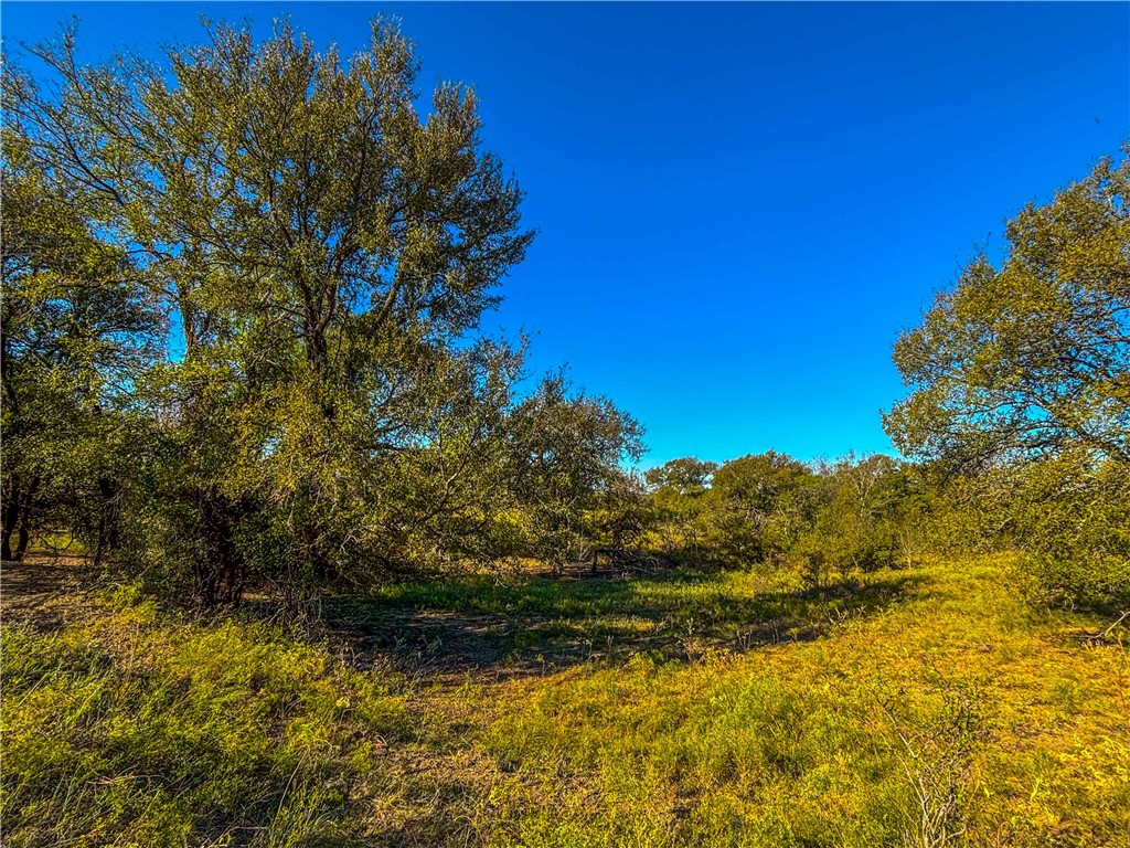 UNK Hcr 3322 Loop, Hubbard, Texas image 12