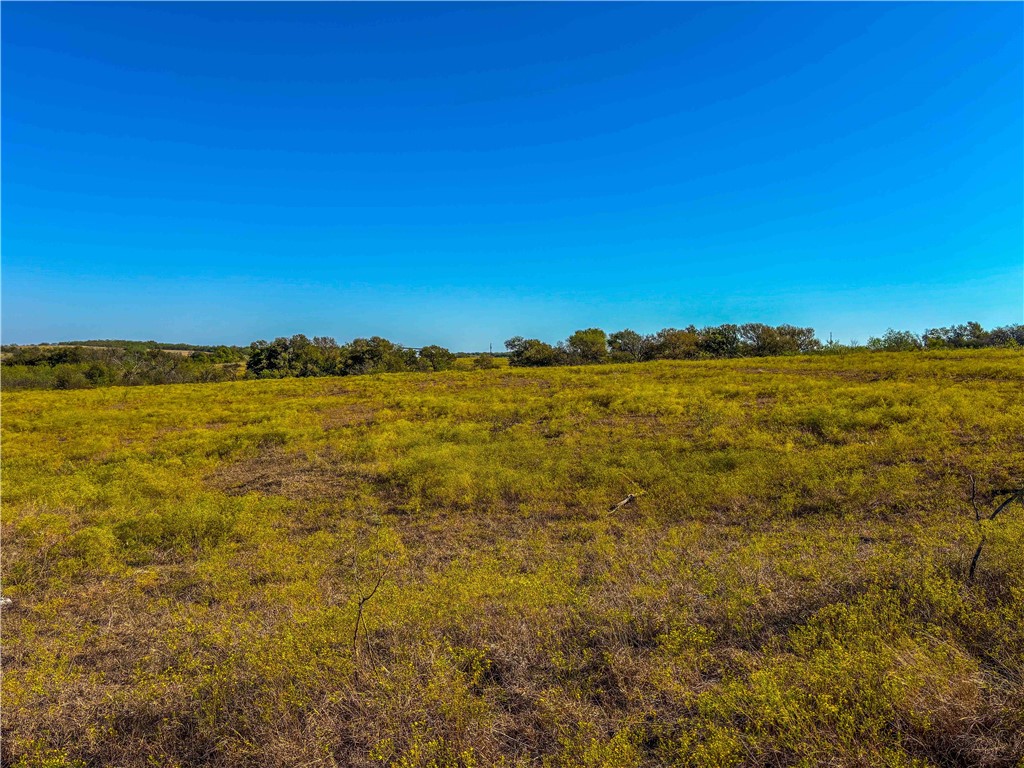 UNK Hcr 3322 Loop, Hubbard, Texas image 29