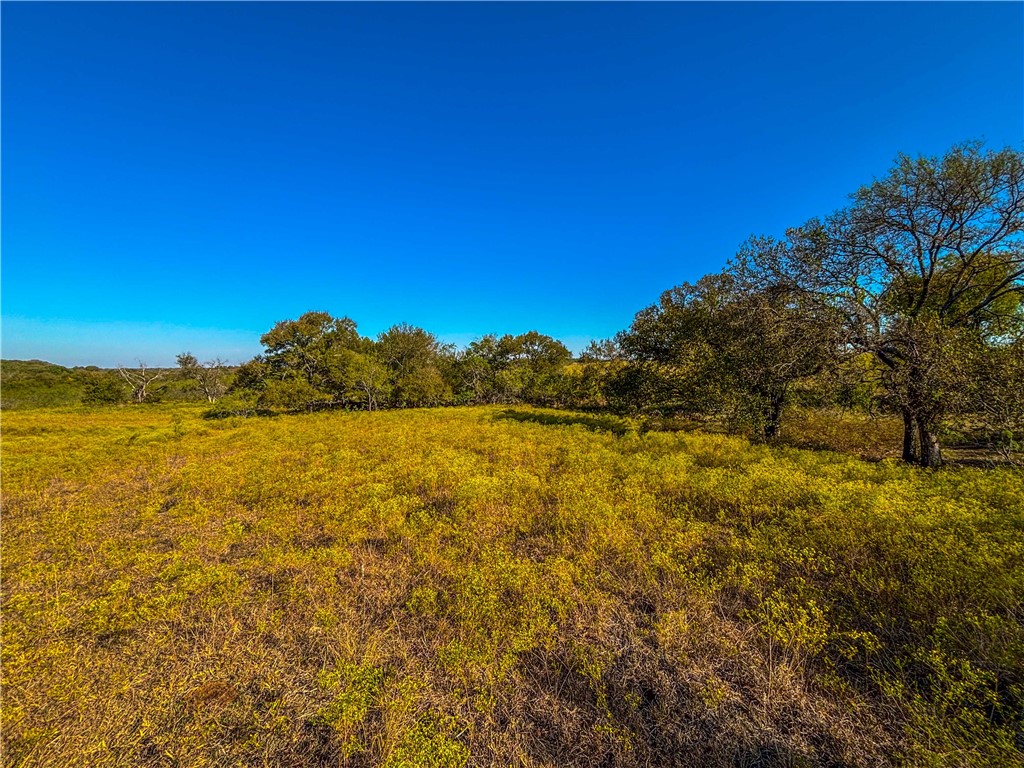 UNK Hcr 3322 Loop, Hubbard, Texas image 25