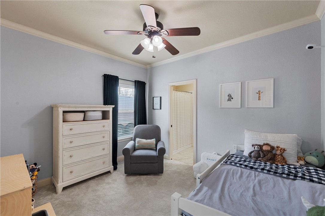117 Hollygrove Drive, Hewitt, Texas image 24