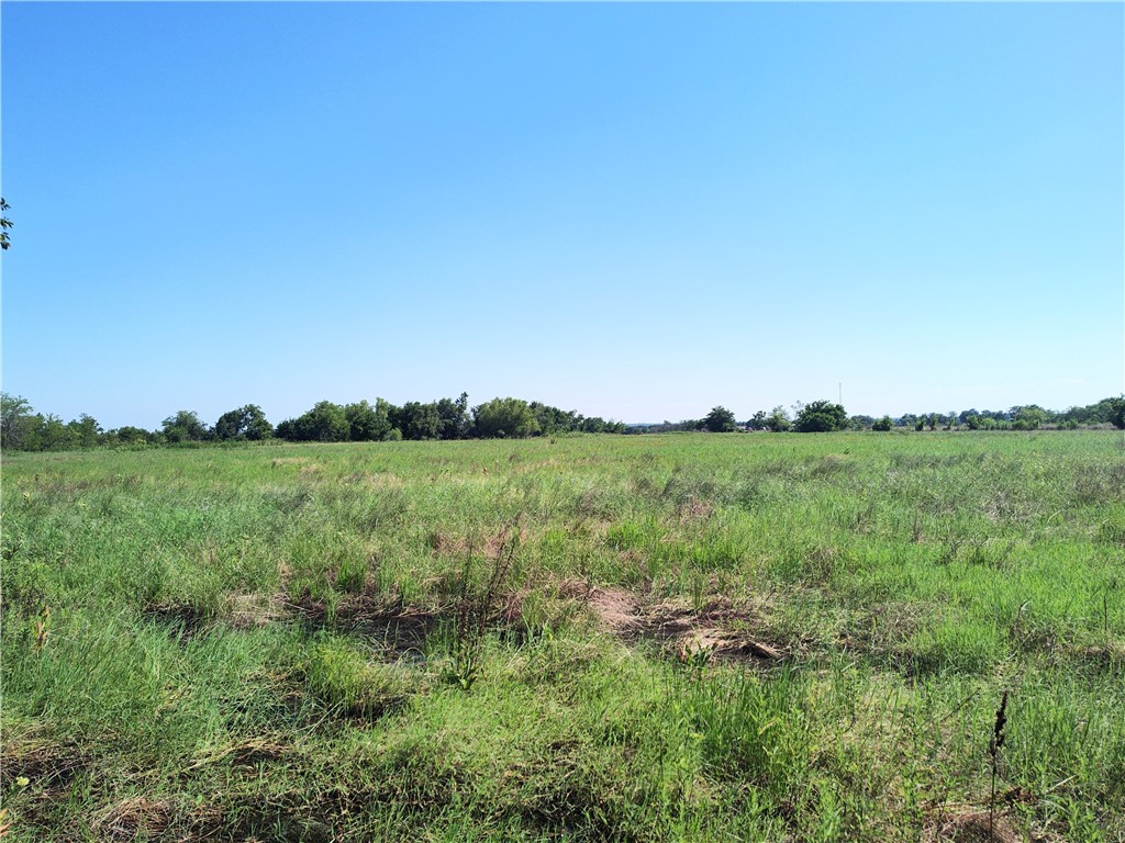 7.485 Acres Fm 27, Wortham, Texas image 2