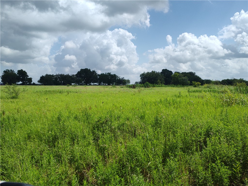 7.485 Acres Fm 27, Wortham, Texas image 8