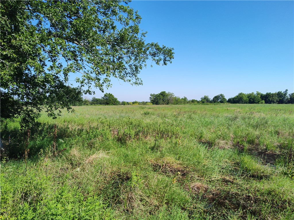 7.485 Acres Fm 27, Wortham, Texas image 6