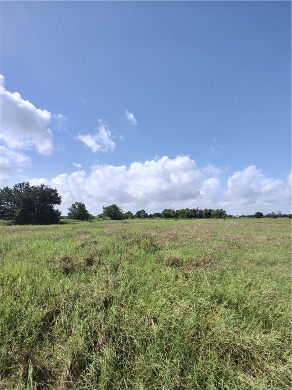 7.485 Acres Fm 27, Wortham, Texas image 3