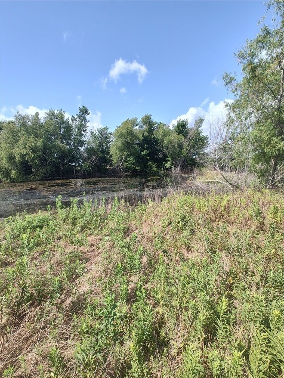 7.485 Acres Fm 27, Wortham, Texas image 7