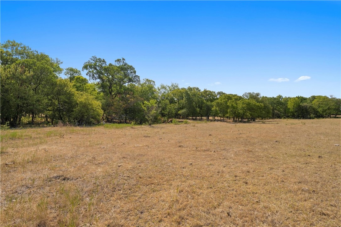 TBD 20.09 Acres Cr 180, Marlin, Texas image 16