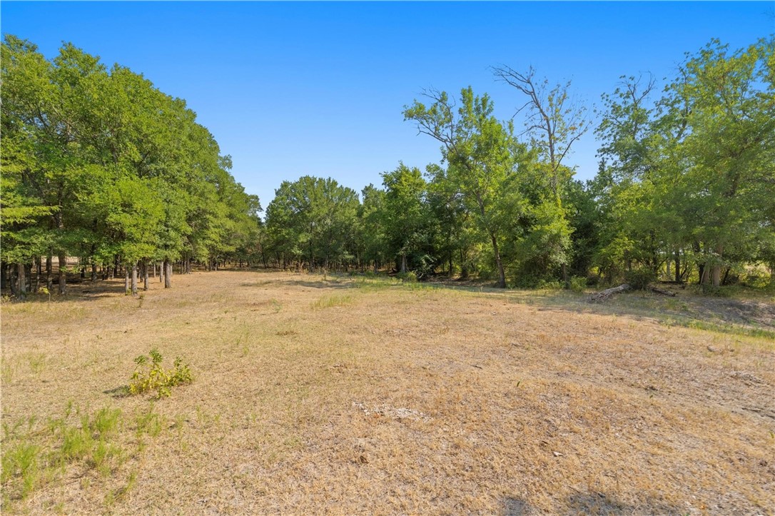 TBD 20.09 Acres Cr 180, Marlin, Texas image 21