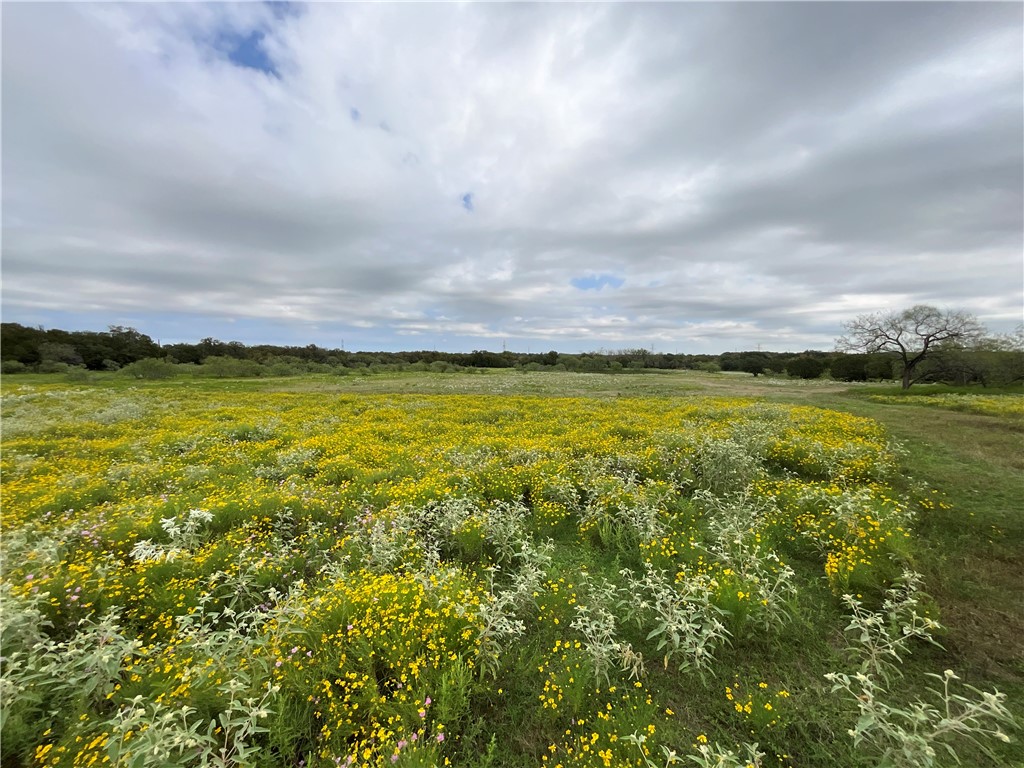 731 Hcr 2215, Aquilla, Texas image 12