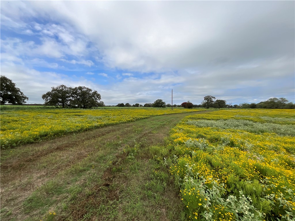 731 Hcr 2215, Aquilla, Texas image 36